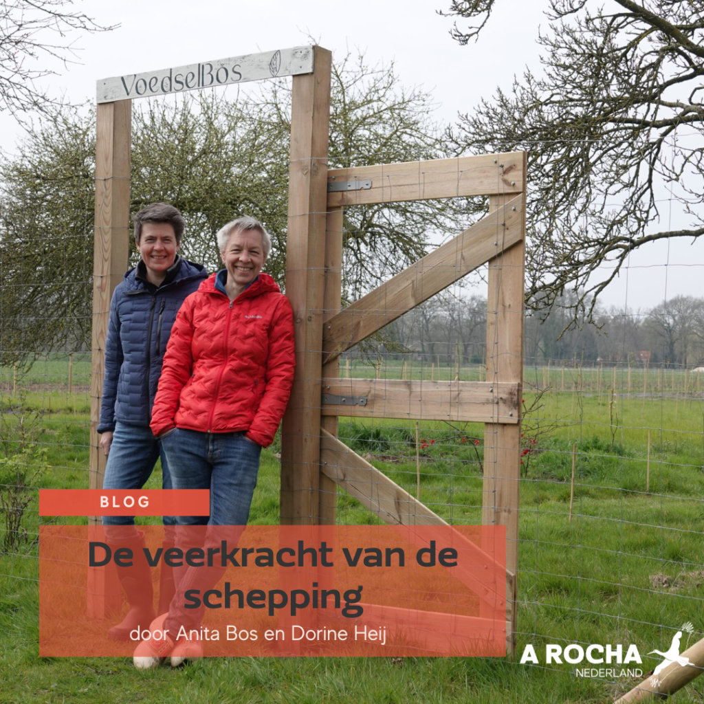 Blog I De Veerkracht Van De Schepping A Rocha Nederland